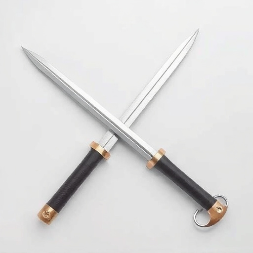 fencing foils