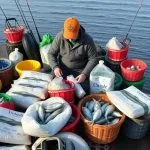 Optimizing Fishing Supplies: Efficient Live Bait Storage Solutions