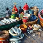 Optimizing Trolling Motor Selection for Ultimate Fishing Supplies Efficiency