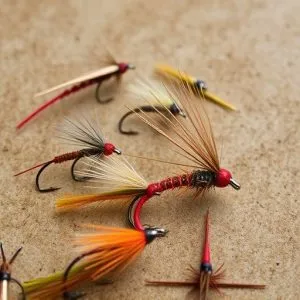 fly-fishing-flies-640x480-3991884.jpeg