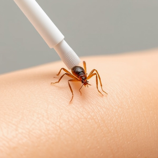 lice treatment