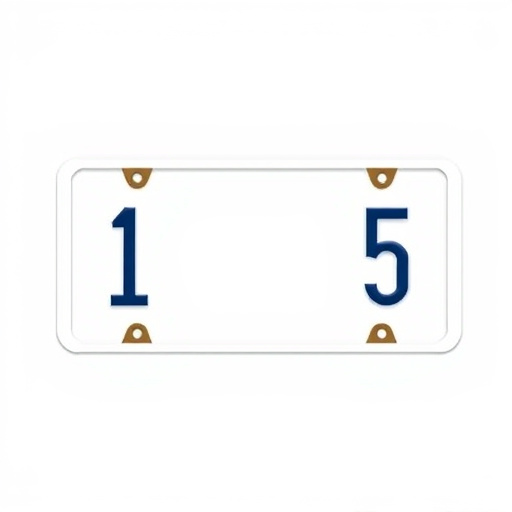 license plate frames