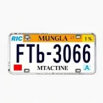 Custom Logos: Unlocking Brand Identity in License Plate Frames