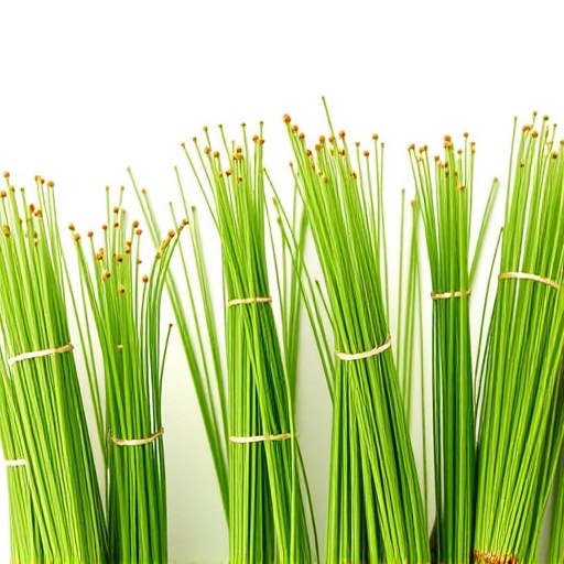 matcha-whisks-640x480-48902302.jpeg