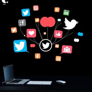 social-media-management-640x480-29574731.jpeg