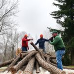 Portland OR Tree Removal: Expert Guidance for Safe, Sustainable Urban Forestry