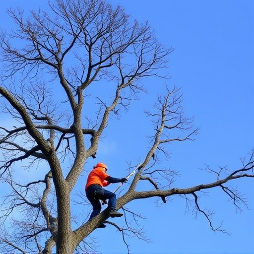 tree services