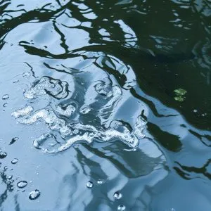 water-640x480-67888299.jpeg