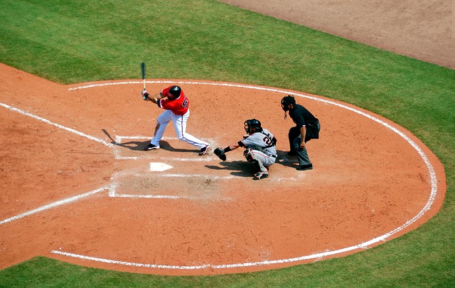 baseball equipment