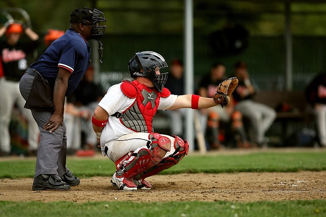 baseball equipment