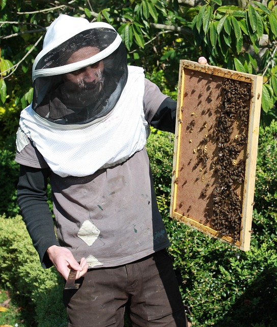 beekeeping supplies