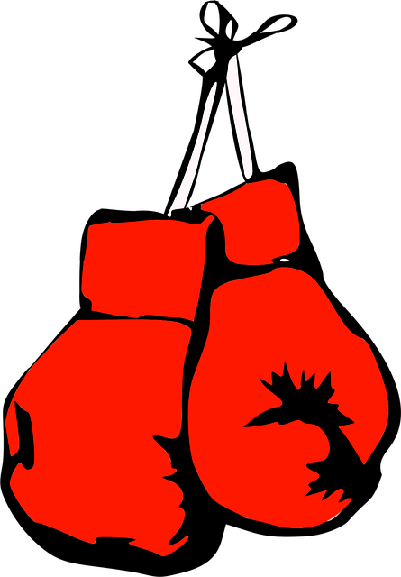 boxing bag gloves