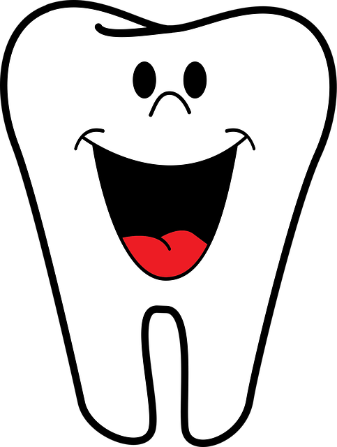 dental burs