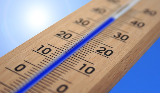 dog thermometers