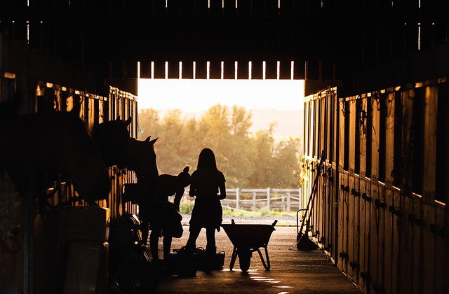equestrian equipment