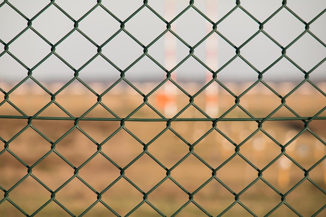 fencing foils