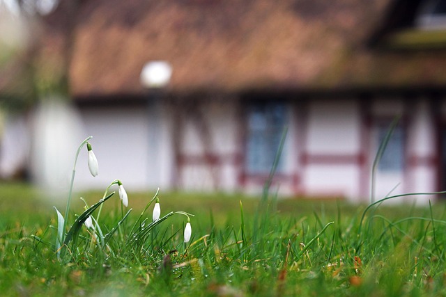 garden houses