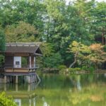 Optimize Your Garden: Efficient Tool Organization with Garden Houses