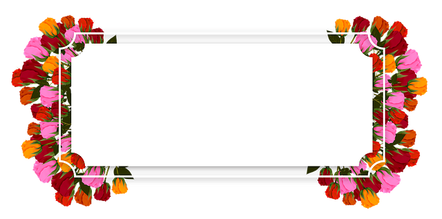 license plate frames
