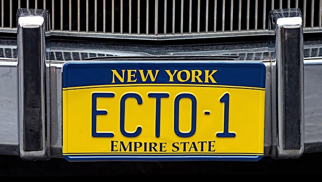 license plate frames