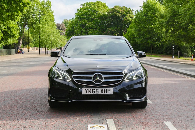 license plate frames
