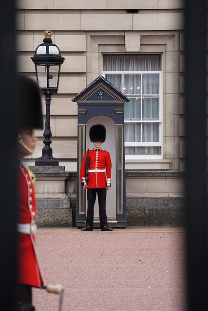 light guards