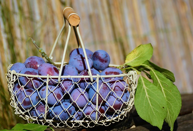 pegboard baskets