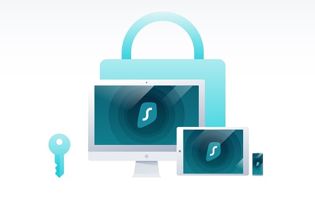 personal finance software
