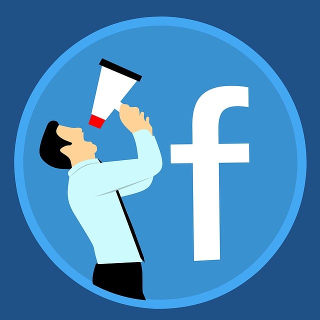 social media management