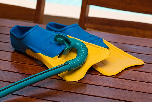 swimming equipment