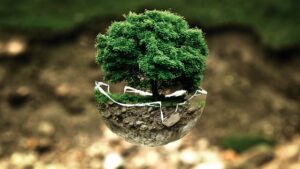 tree-trimming-640x480-50242799.jpeg