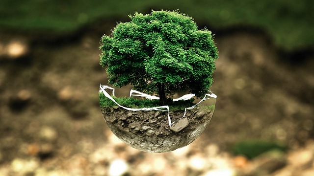 tree-trimming-640x480-50242799.jpeg
