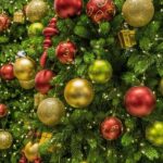 Portland OR Tree Trimming: Understanding and Maintaining Property Line Beauty