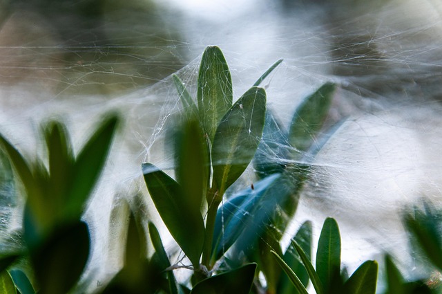 web-design-640x480-25332237.jpeg