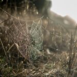 Mesquite TX Web Design: Integrate Your Business for Local Success