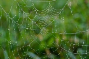 web-design-640x480-73572522.jpeg