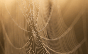 web-design-640x480-85199201.png