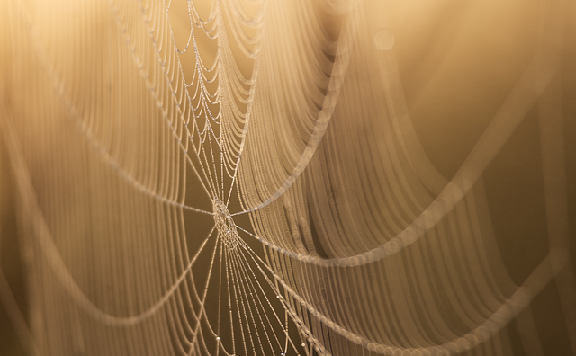 web-design-640x480-85199201.png