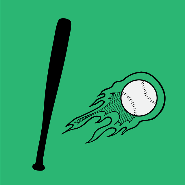baseball equipment