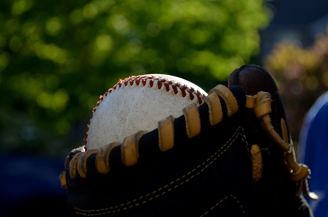 baseball equipment