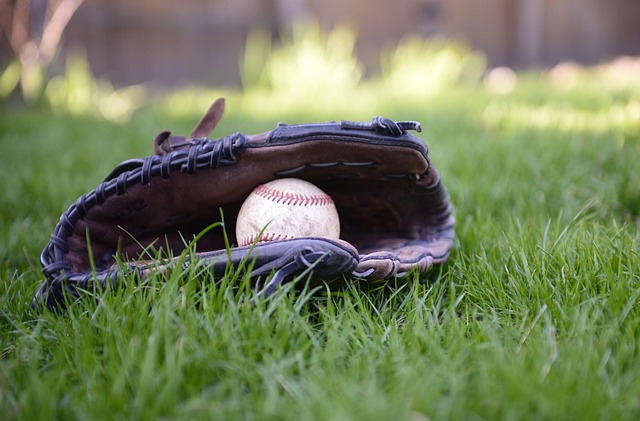 baseball equipment