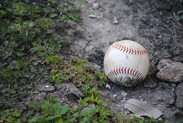 baseball equipment