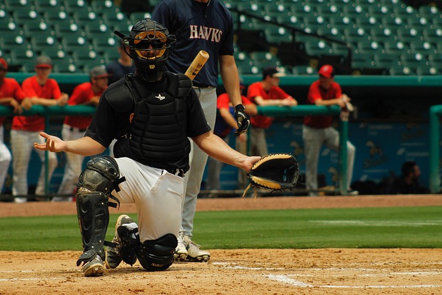 baseball equipment