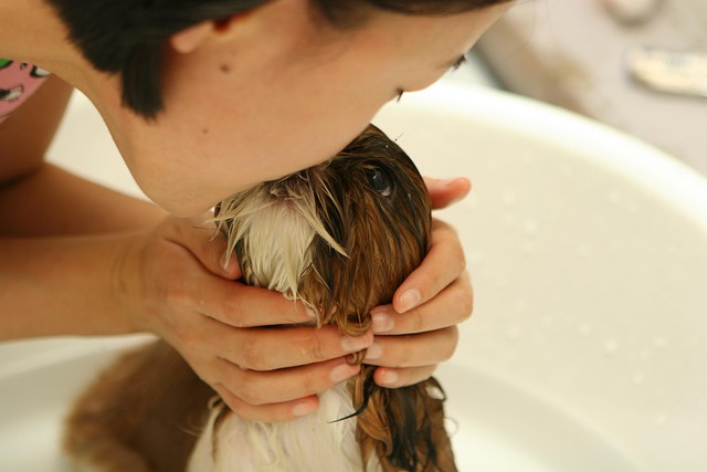 bath rugs