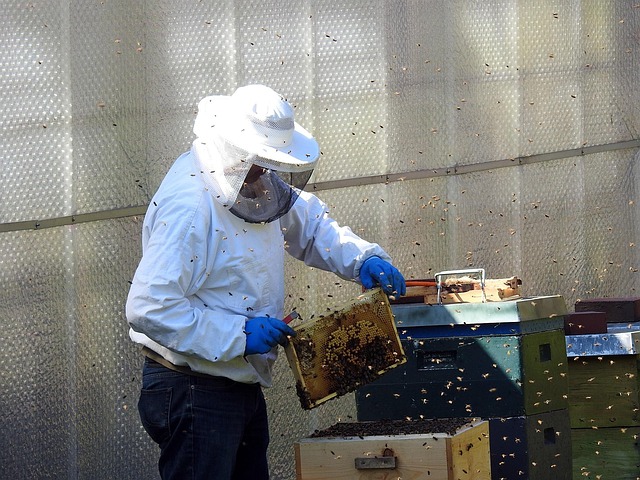 beekeeping supplies