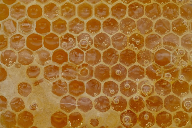 beekeeping supplies
