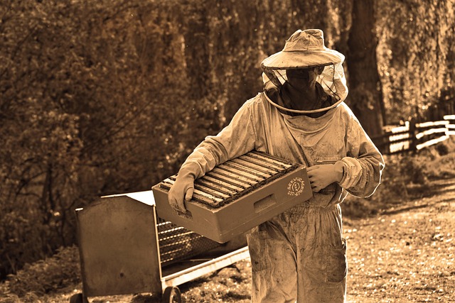 beekeeping supplies
