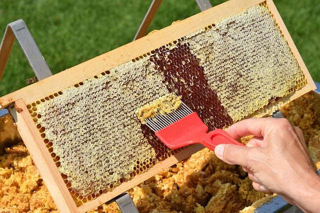 beekeeping supplies