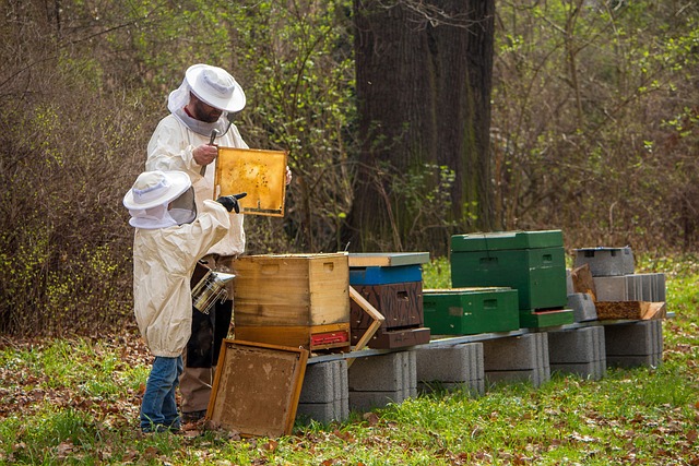 beekeeping supplies