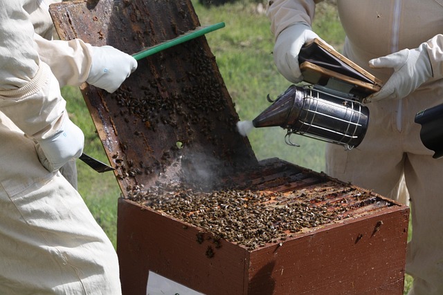 beekeeping supplies